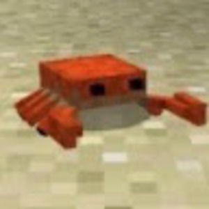 Meet your Posher, Irma